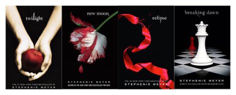 Image result for twilight book cover